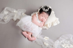 457045369_1052752029571732_7881381794987071286_n-min