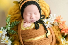 457550858_1853419825151699_3005964995799931304_n-min